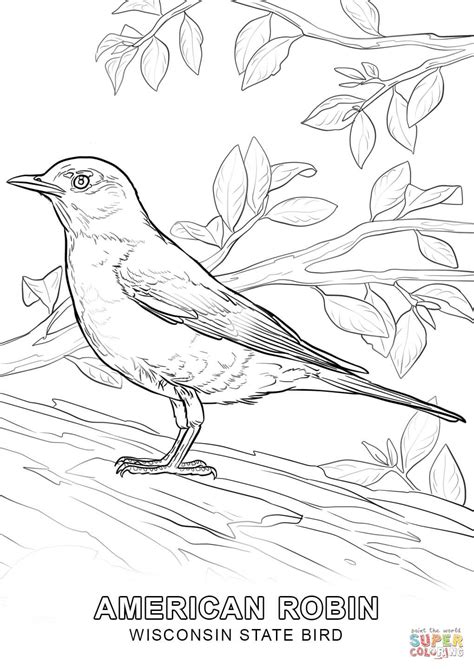 Alabama State Bird Coloring Page - Coloring Home