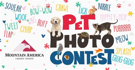 Pet Photo Contest 2016 | Pet photo contest, Pets, Pet day