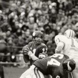 Image Gallery of Joe Kapp | NFL Past Players