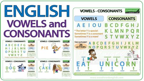 Vowels in English - Consonants in English - The Alphabet in English - YouTube