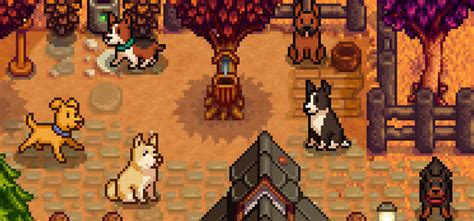 Dog mods stardew valley - mnseoliseo