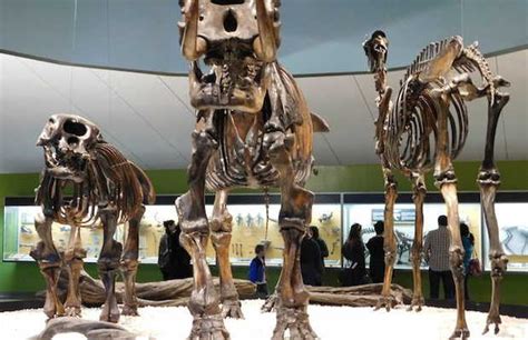 La Brea Tar Pits & Museum in Los Angeles: 3 reviews and 13 photos