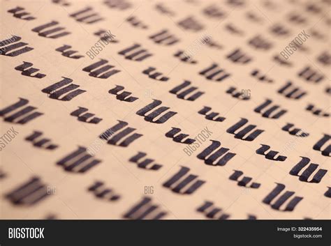 Calligraphic Letter W Image & Photo (Free Trial) | Bigstock