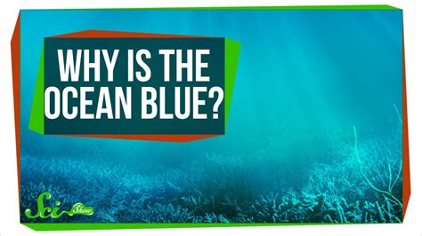 Why Is the Ocean Blue? - YouTube