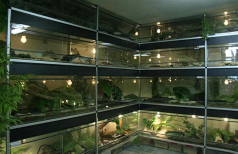 How Do I Set up a Corn Snake Terrarium? (with pictures)