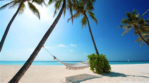 🔥 Download Wallpaper Hammock On Tropical Beach 1080p HD Upload At by @mdudley | Beach HD ...