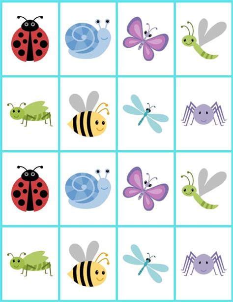 an insect and bug matching game for kids