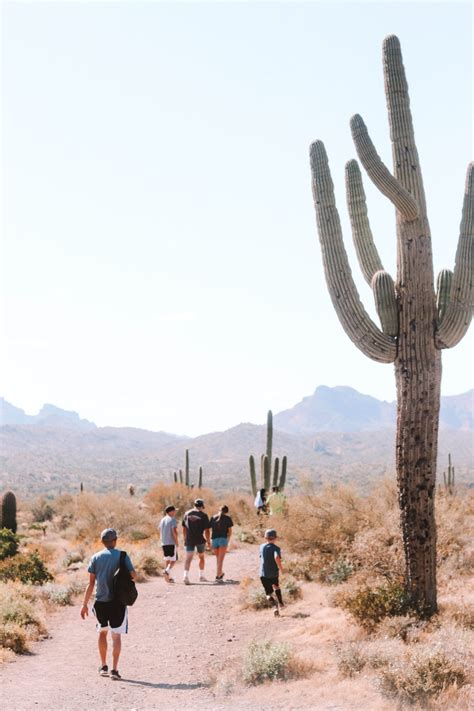 7 Awesome Hikes in Phoenix Arizona | Simply Wander