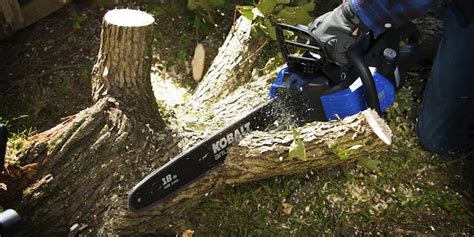 Kobalt 80V Chainsaw Review Pro Tool Reviews, 49% OFF