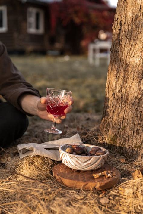 Person Drinking Wine Outdoors · Free Stock Photo