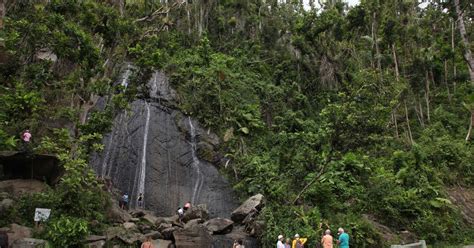 Best Hiking Trails in El Yunque National Forest | Discover Puerto Rico