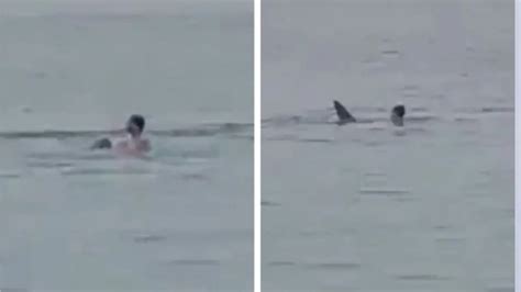 Footage Shows Man Being Killed by Shark in Egypt – Watch Video – YARDHYPE