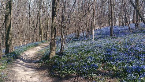 Don Valley Mountain Bike Trail in Toronto, Ontario - Directions, Maps, Photos, and Reviews