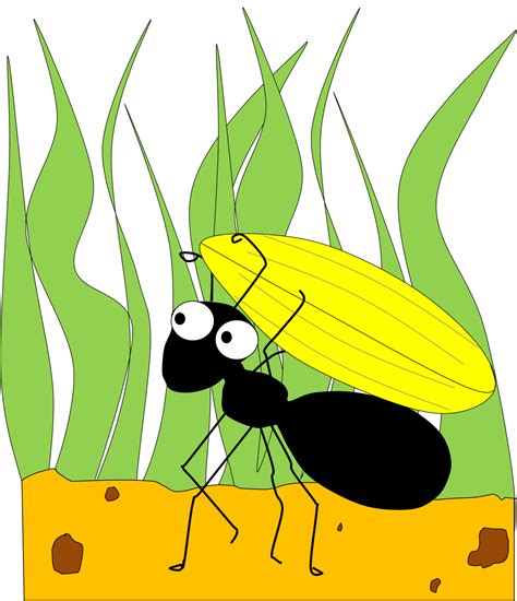 Cute Ant - ClipArt Best