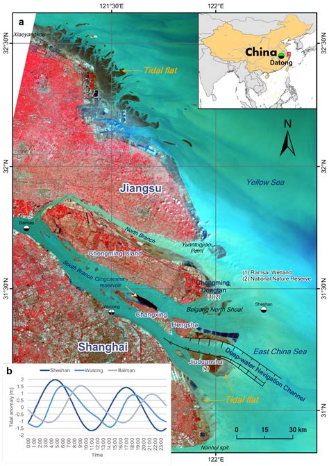 IJERPH | Free Full-Text | Rapid Loss of Tidal Flats in the Yangtze ...