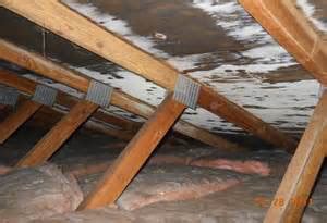 Diy Mold Removal Attic - DIY Craft