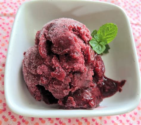 Berry Sorbet - Forward Food