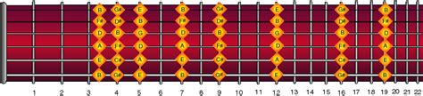 Guitar Harmony | Guitar Lesson | Guitar Chord: Guitar Harmonics