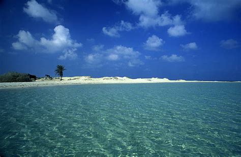 Djerba Beach Stock Photos, Pictures & Royalty-Free Images - iStock