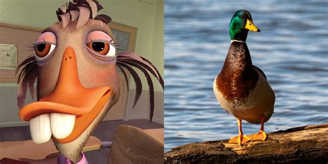 Chicken Little: 10 Things You Didn't Know About Abby Mallard, The Duck