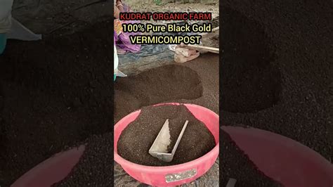 100% आर्गेनिक केचुआ खाद । ब्लैक गोल्ड वर्मी कंपोस्ट। #vermicompost # ...