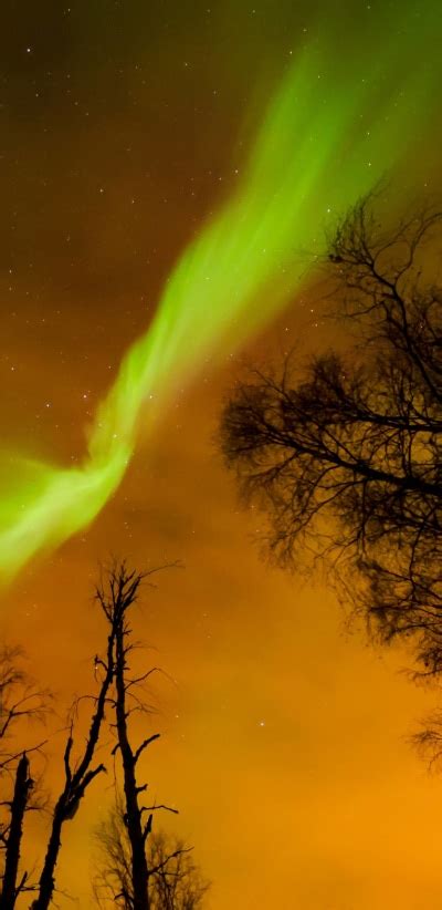 Earth Aurora Borealis, 1440x2960 Phone HD Wallpaper