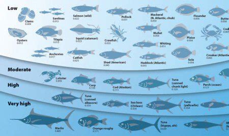 Mechanism for Accumulation of Mercury in Fish Discovered – Guardian Liberty Voice