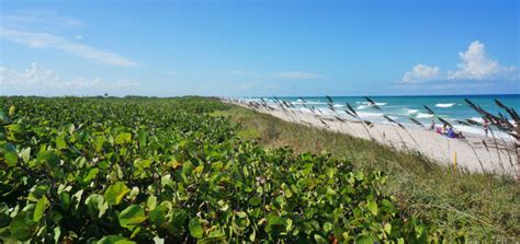 Playalinda Beach | Canaveral National Seashore – Florida Hikes