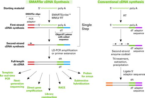 cDNA synthesis kits