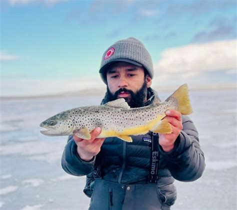 Fishing reports, best baits and forecast for fishing in Horsetooth Reservoir