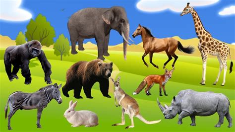 Learning Animals Names and Sounds for kids | Learn Toddlers and Babies ...