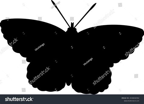 Common Blue Butterfly Black Silhouette Stock Illustration 2038658762 | Shutterstock