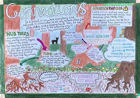 Jessica's Stellar Achievement - British Science Week Poster Competition ...