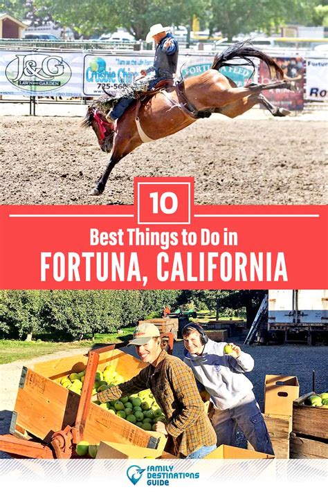 10 Best Things to Do in Fortuna, CA (for 2024)