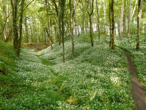 Discover the jewels of Berry, a historical province - Trip My France