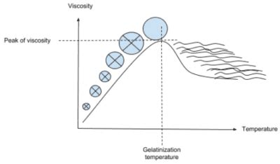 Starch Gelatinization | Baking Processes | BAKERpedia