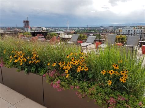 Commercial - Green Roofs of Colorado