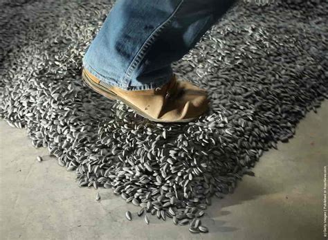 Installation [Sunflower Seeds] By Chinese Artist Ai Weiwei » GagDaily News