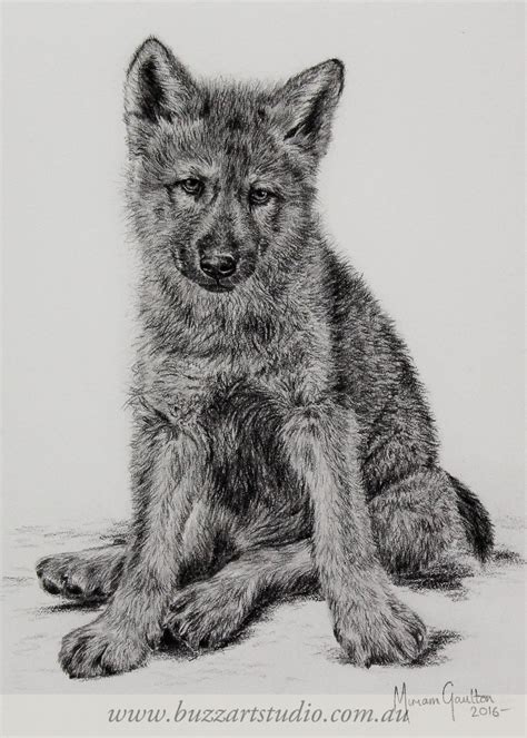 Wolf Cub Drawing at PaintingValley.com | Explore collection of Wolf Cub ...