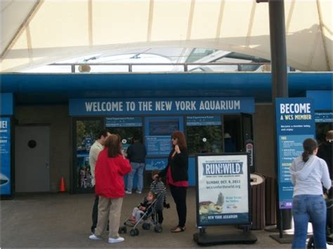 Coney Island Aquarium | RedGage