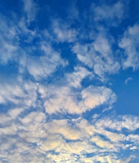 Clouds Sky Skyscape Free Stock Photo - Public Domain Pictures