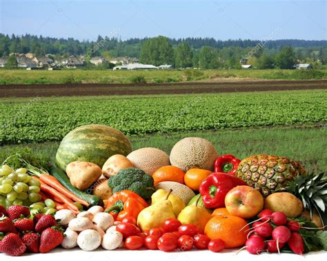 Cultivo del agricultor: fotografía de stock © Hannamariah #11106012 ...