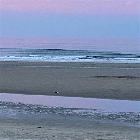 Ogunquit Beach (Maine) | ThriftyFun