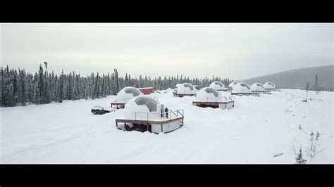 Borealis Basecamp | Alaska Aurora Viewing from Custom… | ALASKA.ORG