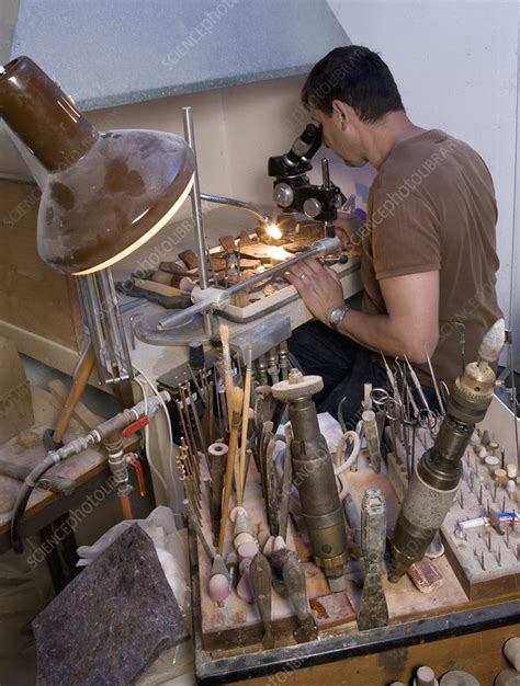 Palaeontologist examining fossils - Stock Image - C002/3608 - Science Photo Library