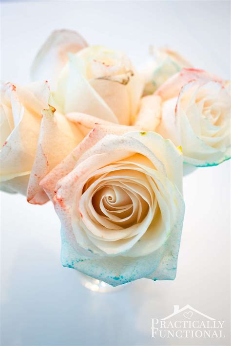 DIY Rainbow Roses