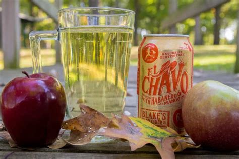 6 Michigan Hard Apple Ciders to Make This Fall Extra Crisp