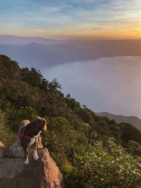 Guatemala - Hiking San Pedro Volcano for a Spectacular Sunrise ...