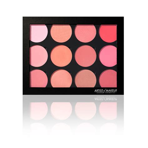 Pro 12 Blusher Palette – Artist of Makeup