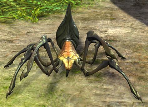 Juvenile Cave Spider - Guild Wars 2 Wiki (GW2W)